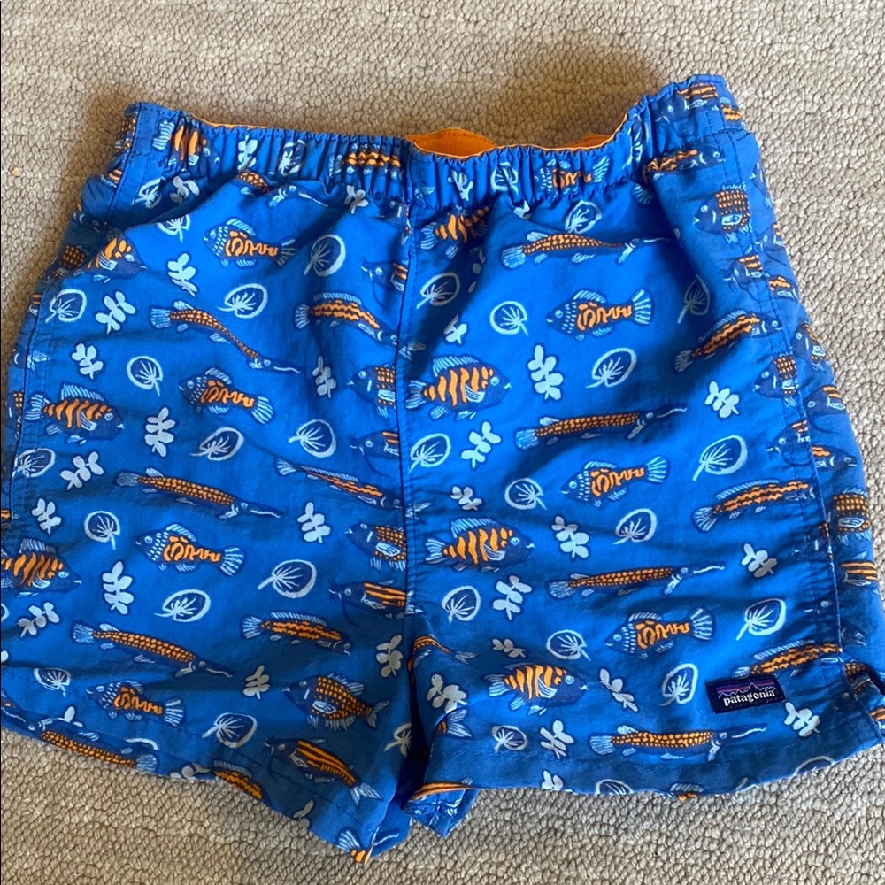 Patagonia Ocean Blue Fish Pattern Shorts